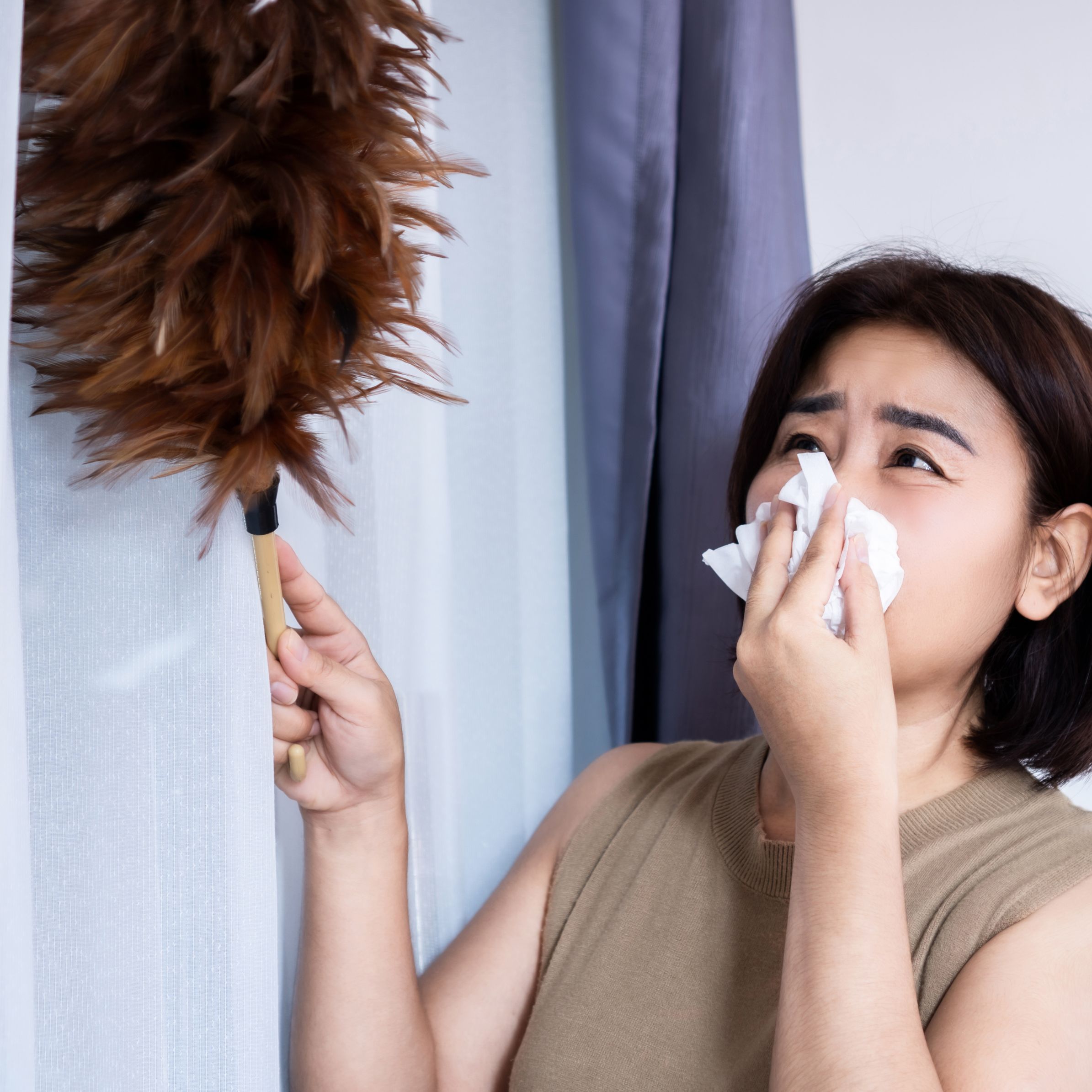 A woman experiencing allergy symptoms while dusting with a feather duster